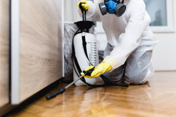 Best Pest Control for Businesses  in Stevensville, MD