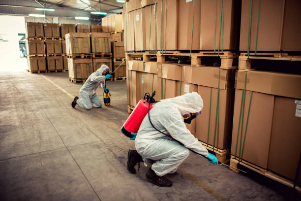 Best Affordable Pest Control Services  in Stevensville, MD