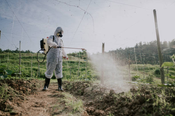 Best Pest Removal Services  in Stevensville, MD