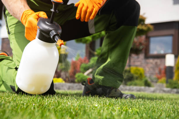 Best Commercial Pest Control Services  in Stevensville, MD