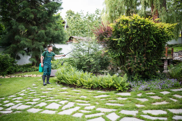 Best Commercial Pest Control Services  in Stevensville, MD