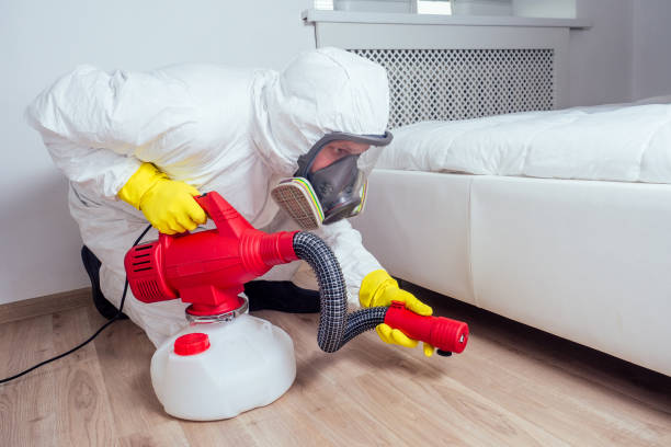Best Emergency Pest Control  in Stevensville, MD