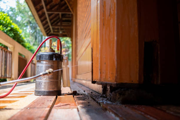 Best Mosquito Control Services  in Stevensville, MD